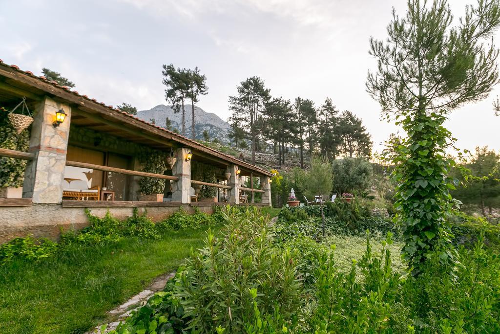 Olympos Mountain Lodge Beycik Extérieur photo